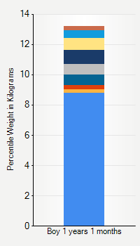 Weight chart for boys 1 year 1 month of age