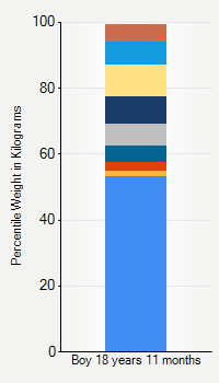 Weight chart for boys 18 years 11 months of age