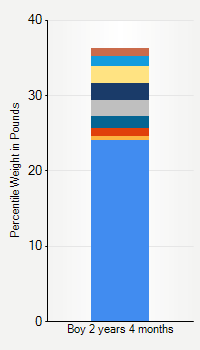 Weight chart for boys 2 years 4 months of age