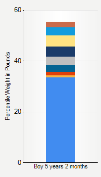 Weight chart for boys 5 years 2 months of age